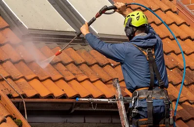 Démoussage et hydrofuge de toiture à Moiron